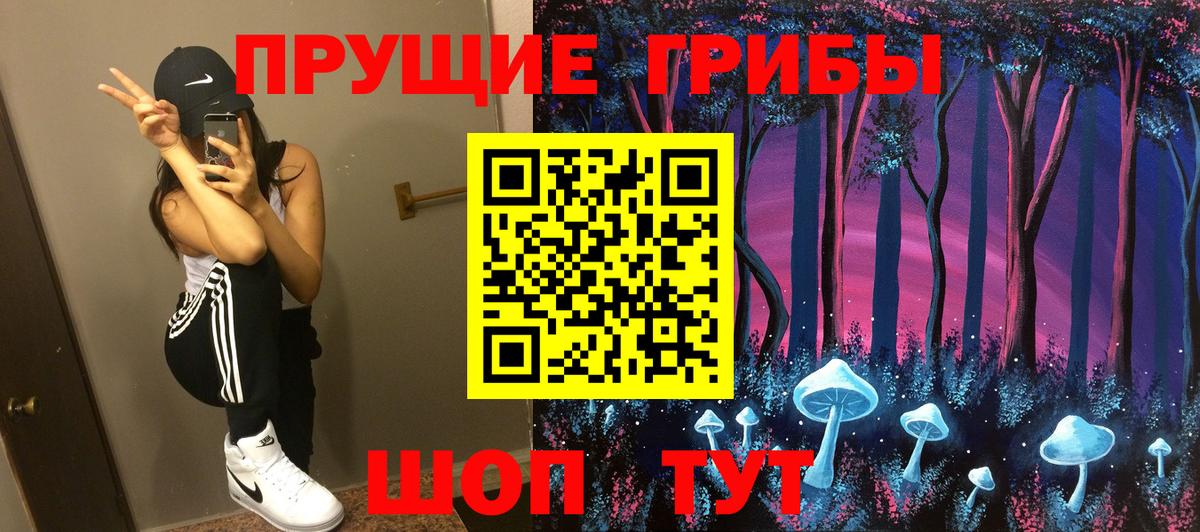 Галлюциногенные грибы Psilocybine cubensis Кимры
