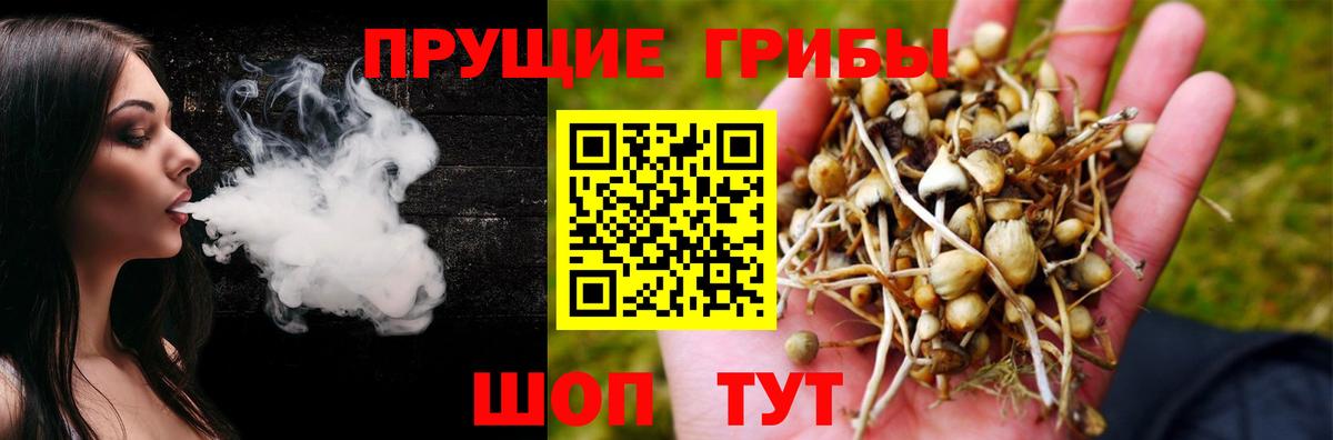 Псилоцибиновые грибы ЛСД  Вход с VPN  Кимры 