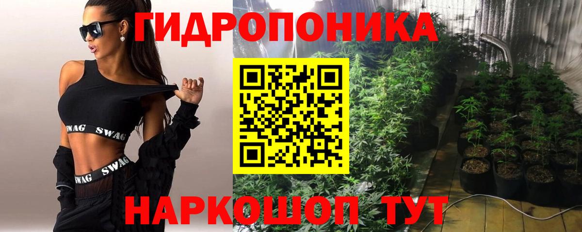 Бошки марихуана планчик Кимры